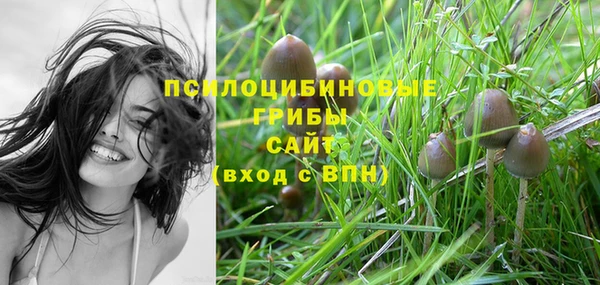 индика Зерноград