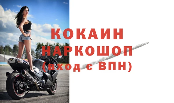 индика Зерноград