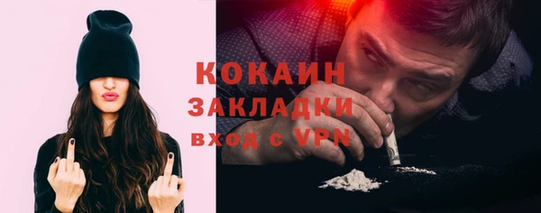 индика Зерноград